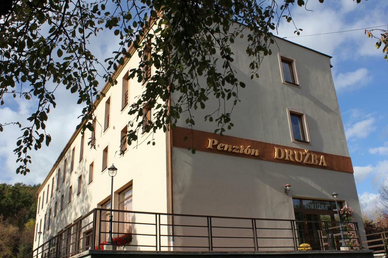 Penzion Druzba ボイニツェ エクステリア 写真